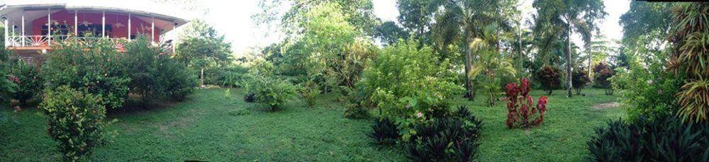 Turtle Beach House Bocas del Toro Exterior foto