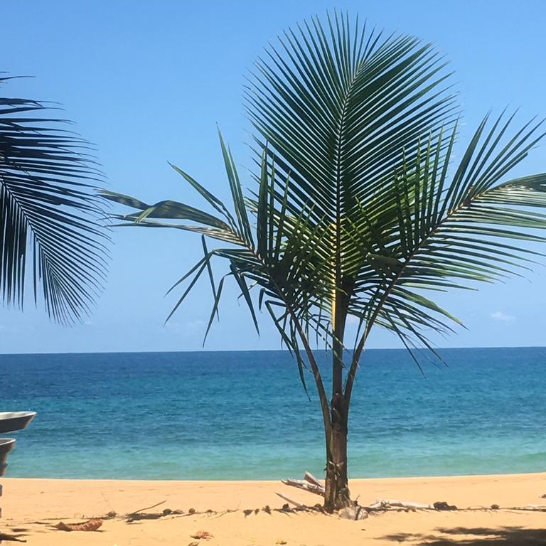 Turtle Beach House Bocas del Toro Exterior foto