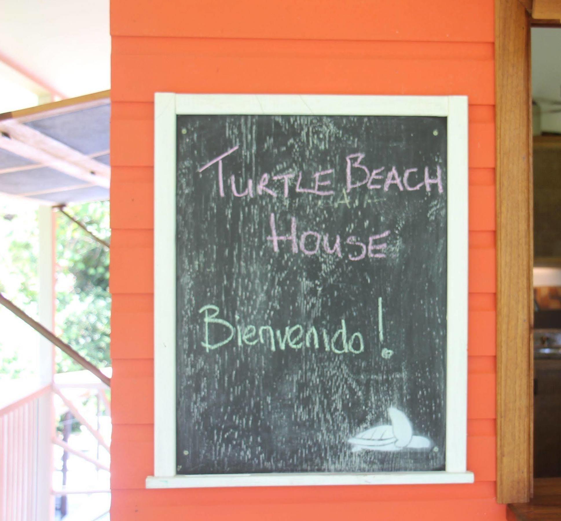 Turtle Beach House Bocas del Toro Exterior foto