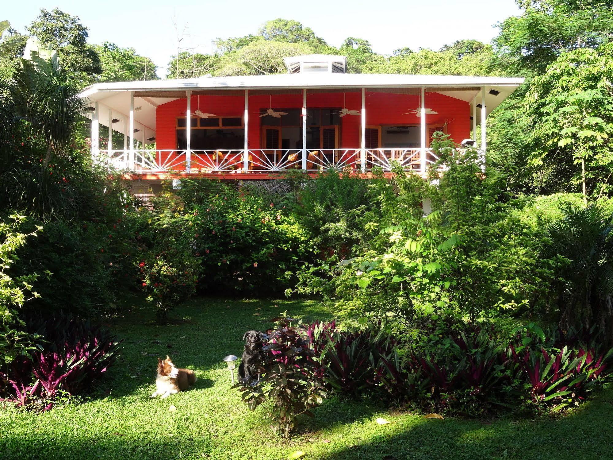 Turtle Beach House Bocas del Toro Exterior foto