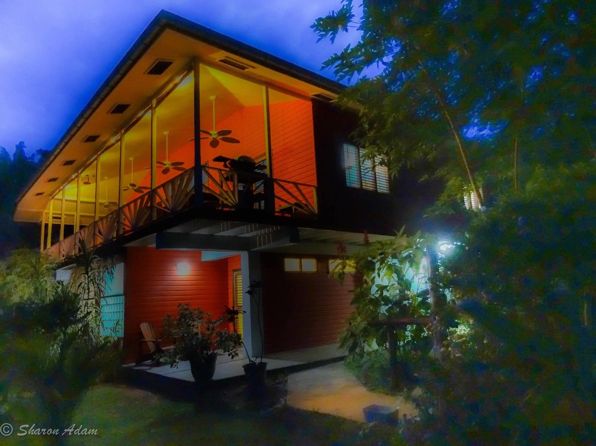 Turtle Beach House Bocas del Toro Exterior foto