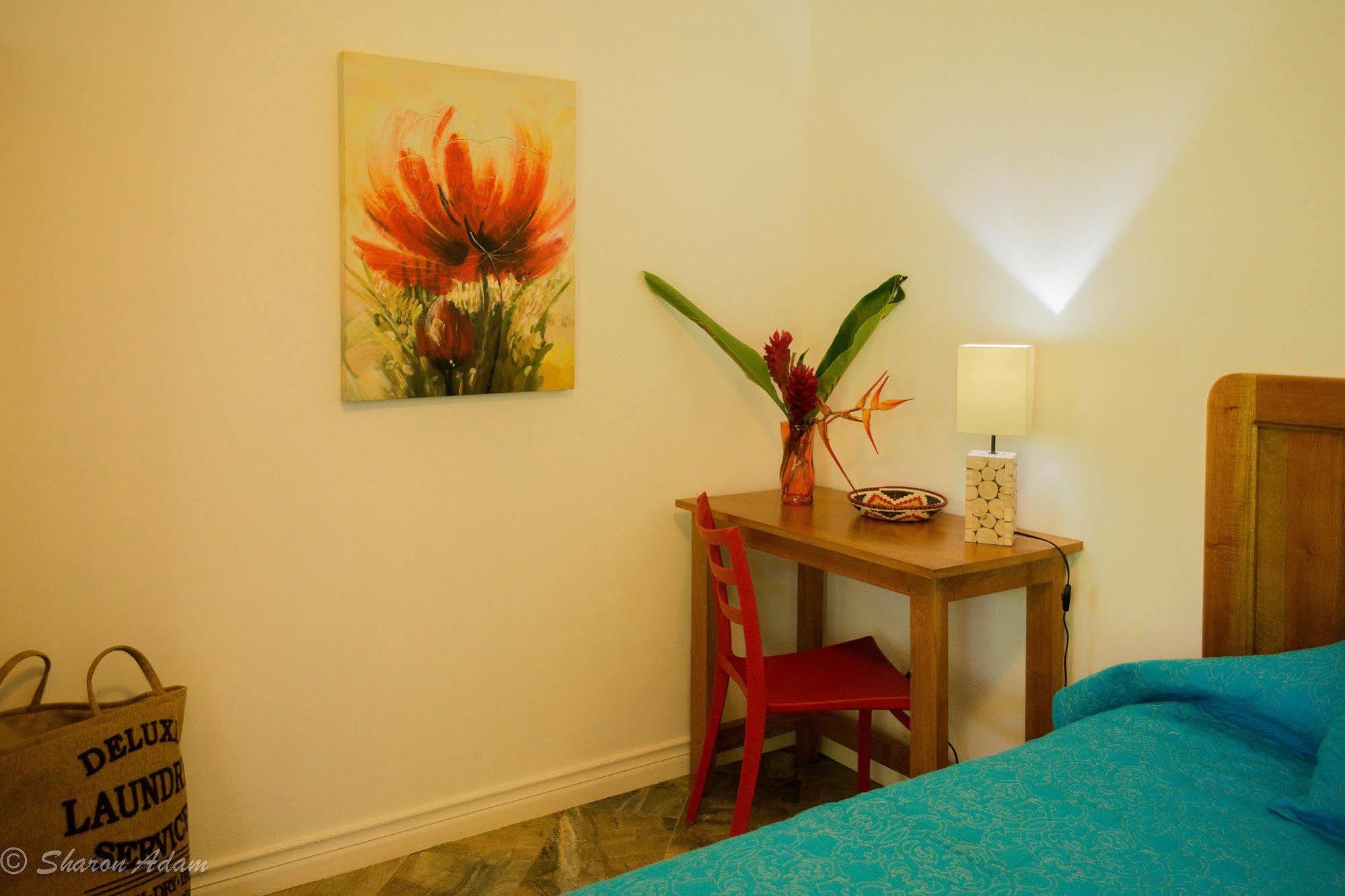 Turtle Beach House Bocas del Toro Exterior foto